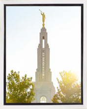 Load image into Gallery viewer, Redlands Temple Heavenly Glow
