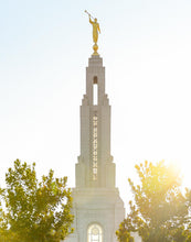 Load image into Gallery viewer, Redlands Temple Heavenly Glow