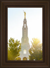 Load image into Gallery viewer, Redlands Temple Heavenly Glow