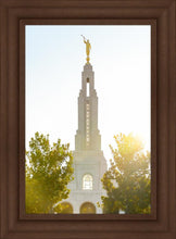 Load image into Gallery viewer, Redlands Temple Heavenly Glow
