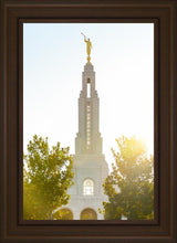 Load image into Gallery viewer, Redlands Temple Heavenly Glow