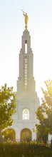 Load image into Gallery viewer, Redlands Temple Heavenly Glow
