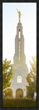 Load image into Gallery viewer, Redlands Temple Heavenly Glow