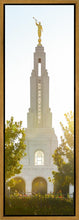Load image into Gallery viewer, Redlands Temple Heavenly Glow