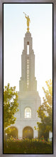 Load image into Gallery viewer, Redlands Temple Heavenly Glow