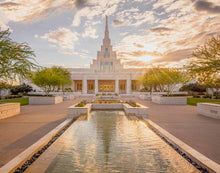 Load image into Gallery viewer, Phoenix Temple Golden Reflections