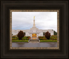 Load image into Gallery viewer, Detroit Temple After The Storm