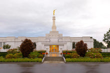 Load image into Gallery viewer, Detroit Temple After The Storm