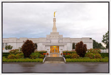 Load image into Gallery viewer, Detroit Temple After The Storm