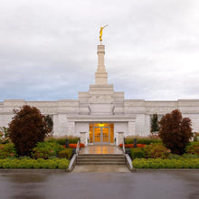 Load image into Gallery viewer, Detroit Temple After The Storm