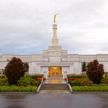 Load image into Gallery viewer, Detroit Temple After The Storm