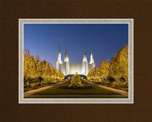 Load image into Gallery viewer, Washington DC Golden Christmas