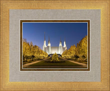 Load image into Gallery viewer, Washington DC Golden Christmas