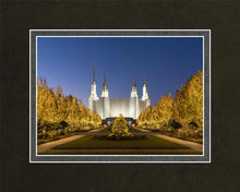Load image into Gallery viewer, Washington DC Golden Christmas