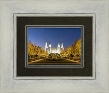 Load image into Gallery viewer, Washington DC Golden Christmas