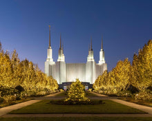 Load image into Gallery viewer, Washington DC Golden Christmas