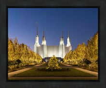 Load image into Gallery viewer, Washington DC Golden Christmas