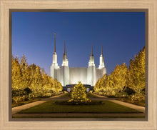 Load image into Gallery viewer, Washington DC Golden Christmas