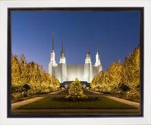 Load image into Gallery viewer, Washington DC Golden Christmas