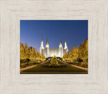 Load image into Gallery viewer, Washington DC Golden Christmas