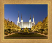 Load image into Gallery viewer, Washington DC Golden Christmas