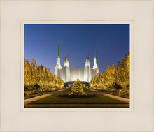 Load image into Gallery viewer, Washington DC Golden Christmas