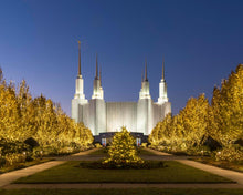 Load image into Gallery viewer, Washington DC Golden Christmas