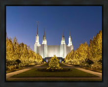 Load image into Gallery viewer, Washington DC Golden Christmas