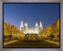 Load image into Gallery viewer, Washington DC Golden Christmas