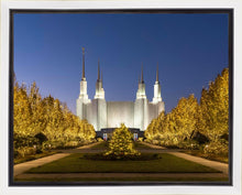 Load image into Gallery viewer, Washington DC Golden Christmas