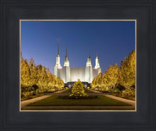 Load image into Gallery viewer, Washington DC Golden Christmas