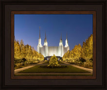 Load image into Gallery viewer, Washington DC Golden Christmas