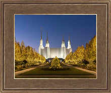 Load image into Gallery viewer, Washington DC Golden Christmas