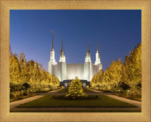 Load image into Gallery viewer, Washington DC Golden Christmas