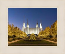 Load image into Gallery viewer, Washington DC Golden Christmas