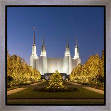 Load image into Gallery viewer, Washington DC Golden Christmas