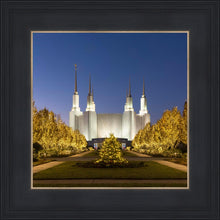 Load image into Gallery viewer, Washington DC Golden Christmas