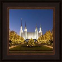 Load image into Gallery viewer, Washington DC Golden Christmas
