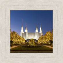 Load image into Gallery viewer, Washington DC Golden Christmas