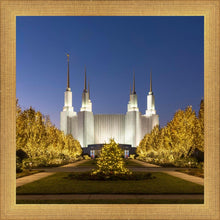 Load image into Gallery viewer, Washington DC Golden Christmas