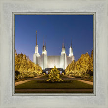 Load image into Gallery viewer, Washington DC Golden Christmas