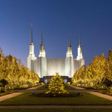 Load image into Gallery viewer, Washington DC Golden Christmas
