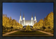 Load image into Gallery viewer, Washington DC Golden Christmas