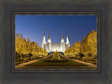 Load image into Gallery viewer, Washington DC Golden Christmas