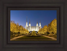 Load image into Gallery viewer, Washington DC Golden Christmas