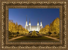 Load image into Gallery viewer, Washington DC Golden Christmas