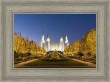 Load image into Gallery viewer, Washington DC Golden Christmas