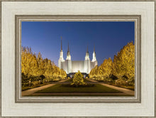 Load image into Gallery viewer, Washington DC Golden Christmas