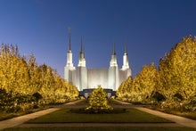 Load image into Gallery viewer, Washington DC Golden Christmas