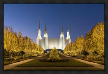 Load image into Gallery viewer, Washington DC Golden Christmas